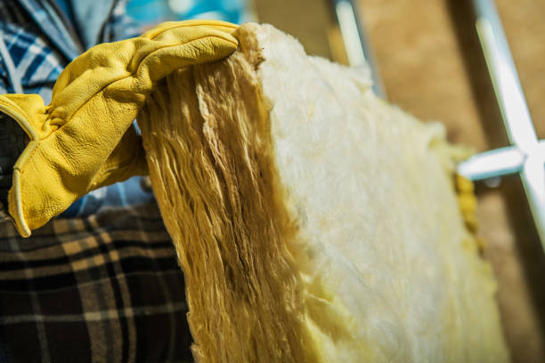 Best Insulation Installation Services in Potomac Heights, MD